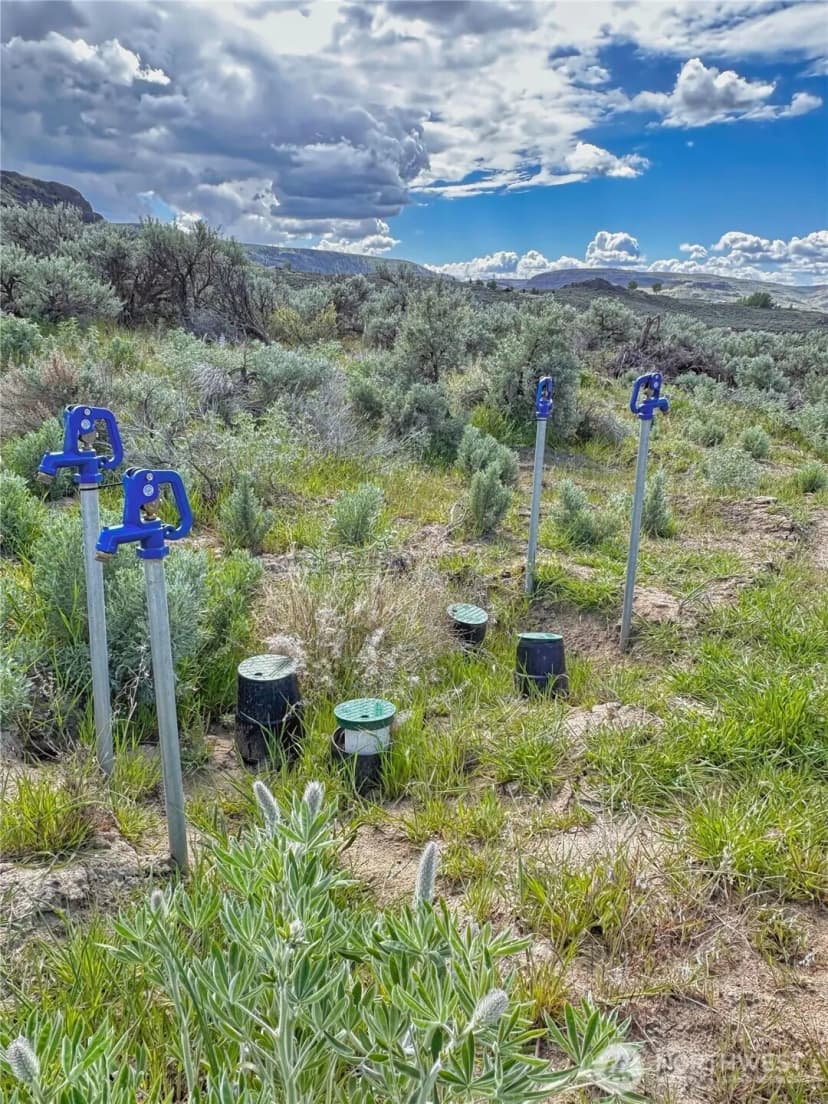 Property photo for 46230 Arrowleaf Canyon Drive N, Grand Coulee photo 9
