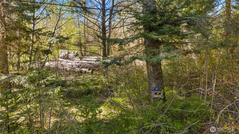 Property photo for 541 Heron Drive, Cle Elum photo 25