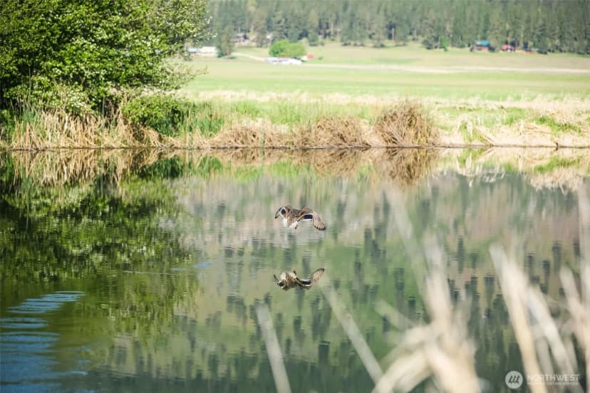 Property photo for 27 Xx Newton Rd, Chewelah photo 19