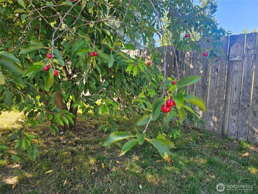 Property photo for 727 Tipsoo Loop S, Rainier photo 36
