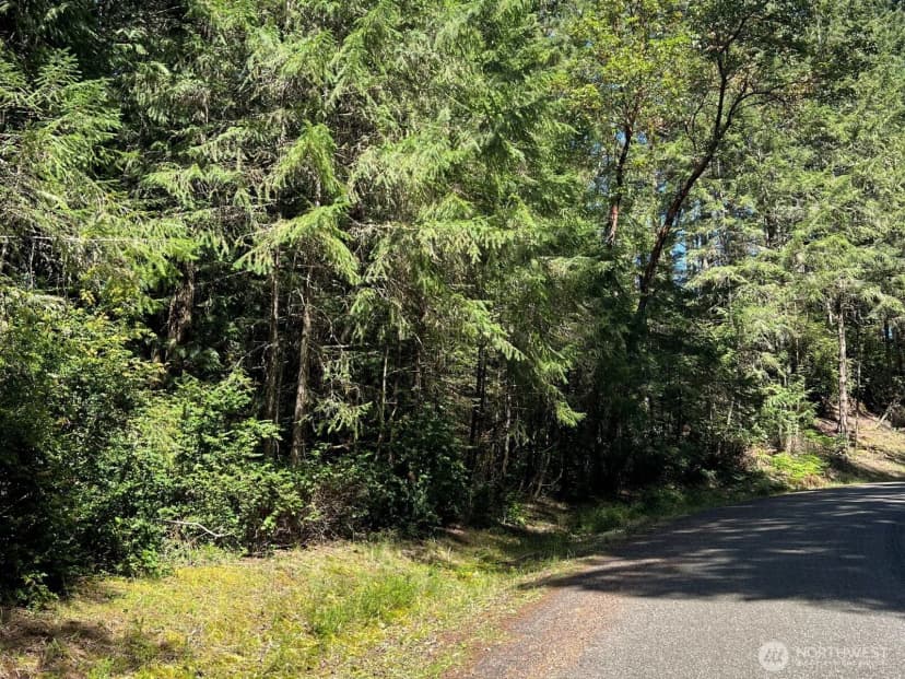 Property photo for 10919 Suncrest Drive, Anderson Island