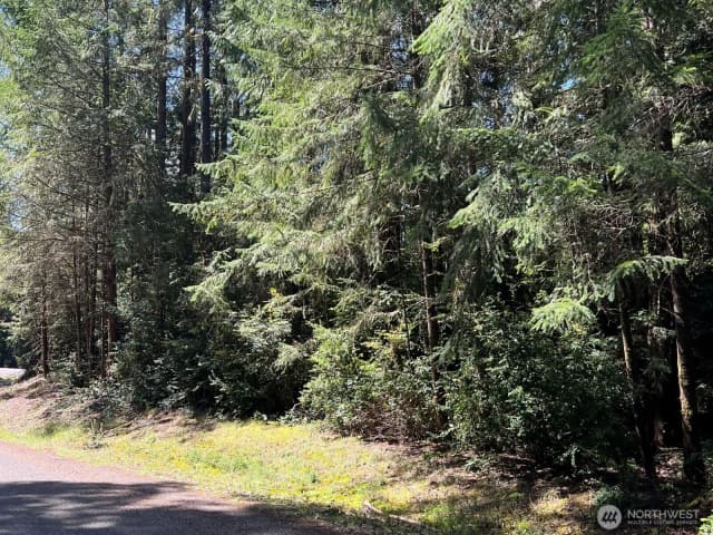 Property photo for 10919 Suncrest Drive, Anderson Island photo 2