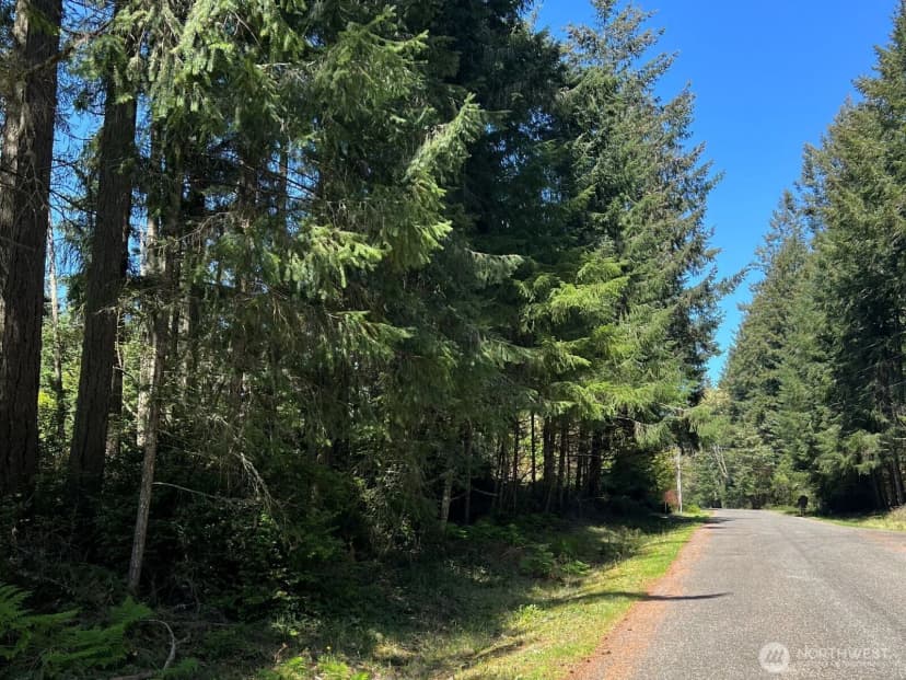 Property photo for 10312 Paine Road, Anderson Island