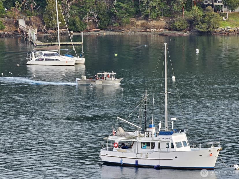 Property photo for 460 Harrison Street, Friday Harbor photo 18