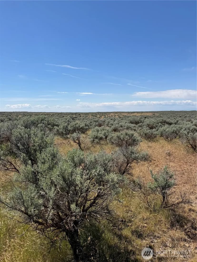 Property photo for 222 Eagle Springs Ranch, Wilson Creek photo 14