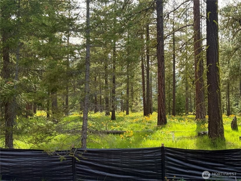 Property photo for 131 Plateau Loop, Cle Elum photo 5