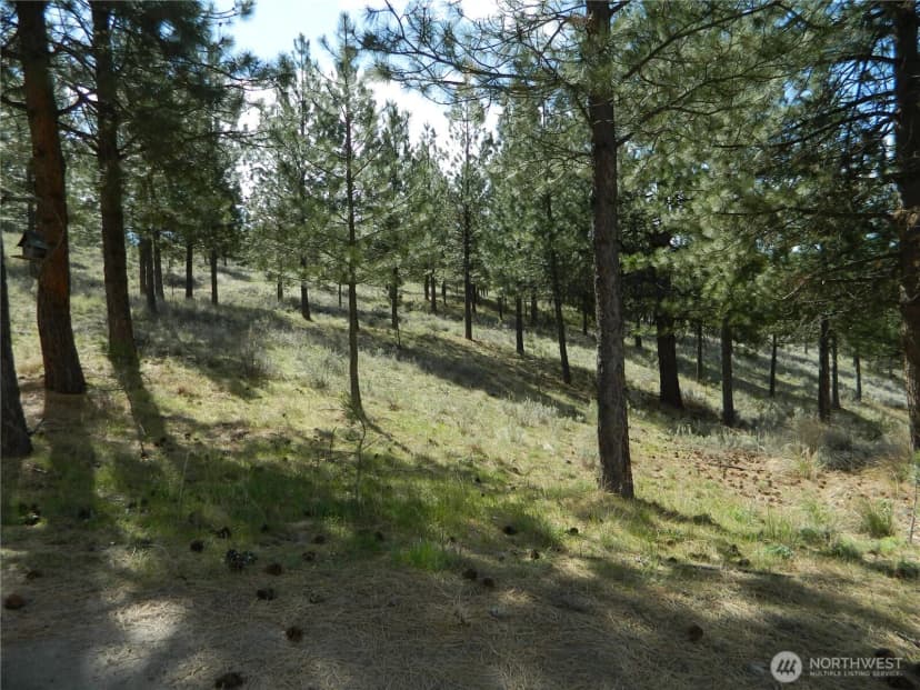 Property photo for 120 Sour Dough Creek Road, Tonasket photo 7