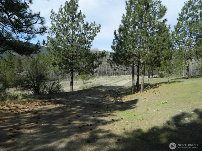 Property photo for 120 Sour Dough Creek Road, Tonasket photo 8