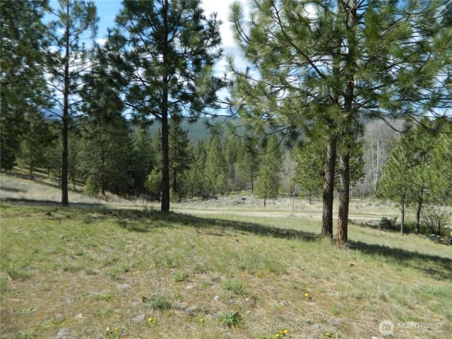 Property photo for 120 Sour Dough Creek Road, Tonasket photo 5