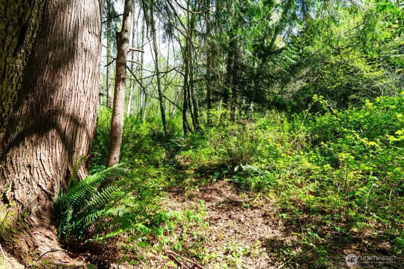 Property photo for 0 Xxx Mountain View Boulevard Se, North Bend photo 17