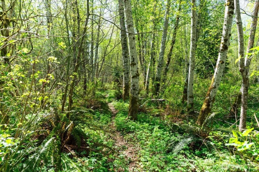 Property photo for 0 Xxx Mountain View Boulevard Se, North Bend photo 13