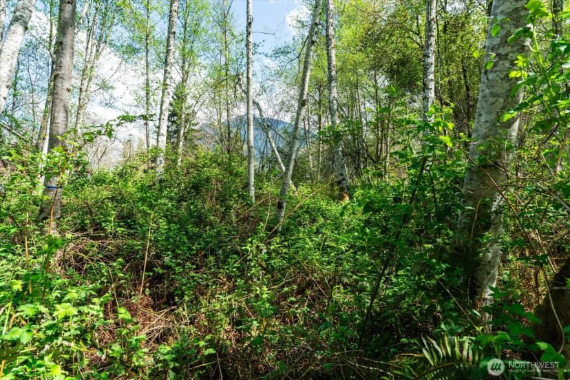 Property photo for 0 Xxx Mountain View Boulevard Se, North Bend photo 14