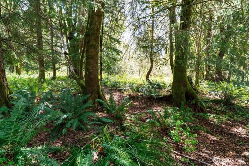 Property photo for 0 Xxx Mountain View Boulevard Se, North Bend photo 16