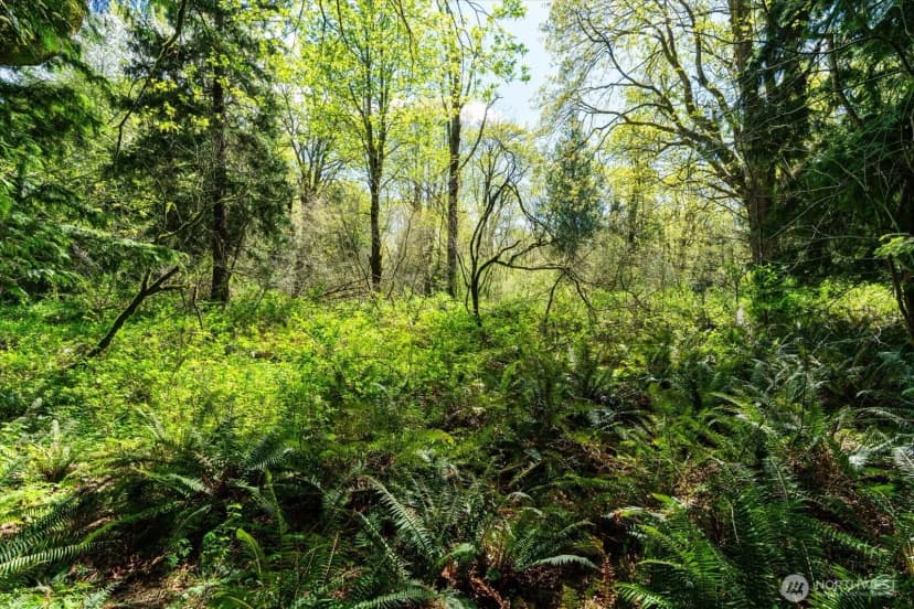 Property photo for 0 Xxx Mountain View Boulevard Se, North Bend photo 27