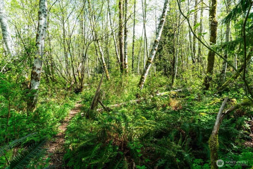 Property photo for 0 Xxx Mountain View Boulevard Se, North Bend photo 15