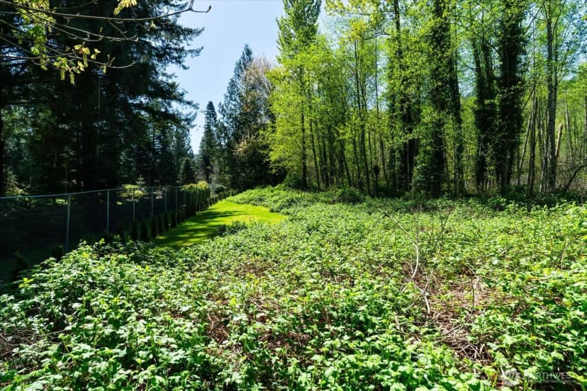 Property photo for 0 Xxx Mountain View Boulevard Se, North Bend photo 11