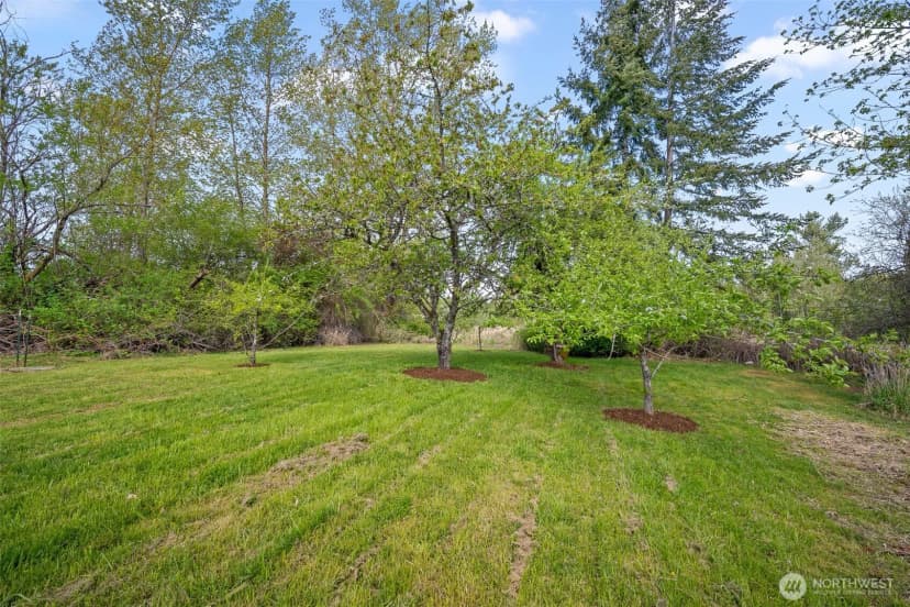 Property photo for 3262 Mt. Baker Highway, Bellingham photo 33