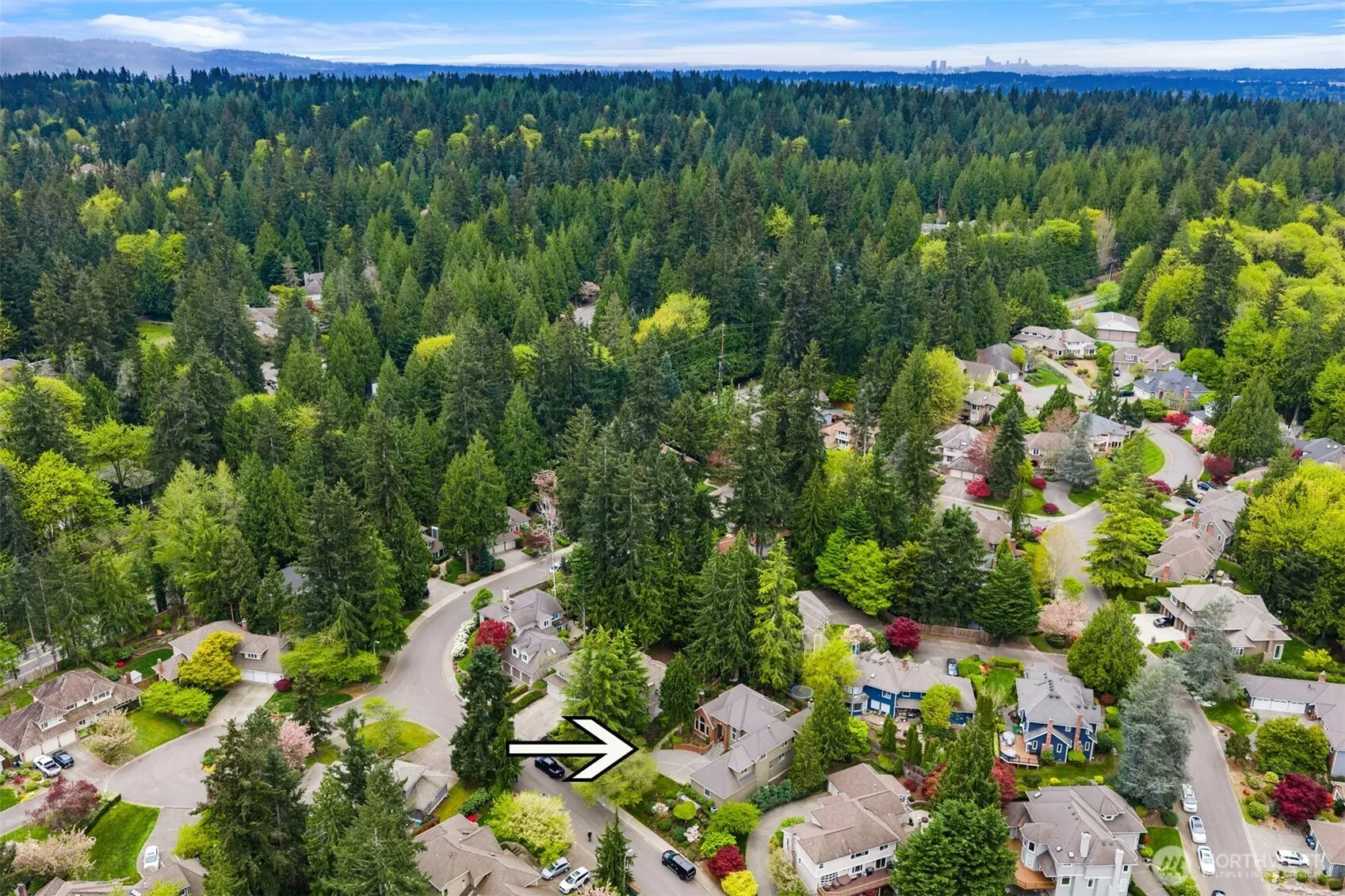 Property photo for 3021 224th Avenue Ne, Sammamish photo 33