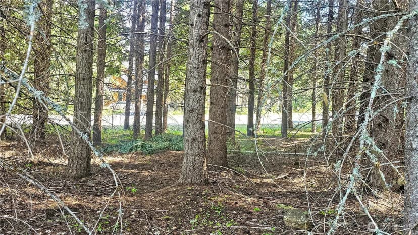 Property photo for 921 Jenkins Drive, Cle Elum photo 27