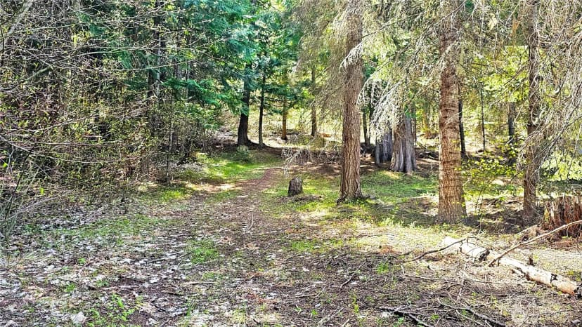 Property photo for 921 Jenkins Drive, Cle Elum photo 25
