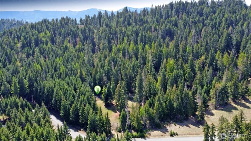 Property photo for 921 Jenkins Drive, Cle Elum photo 35