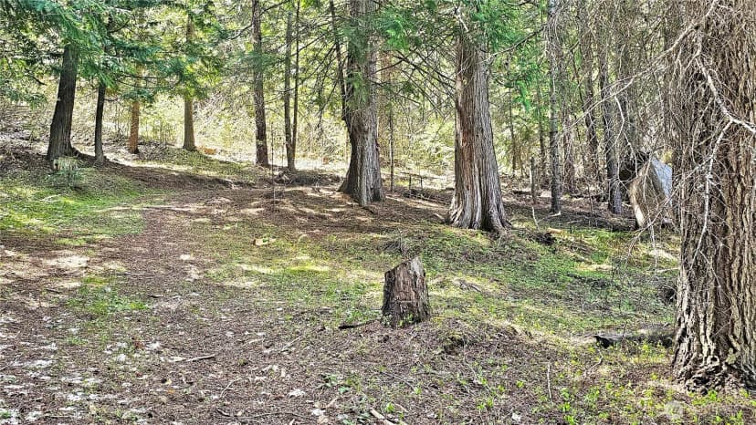 Property photo for 921 Jenkins Drive, Cle Elum photo 34