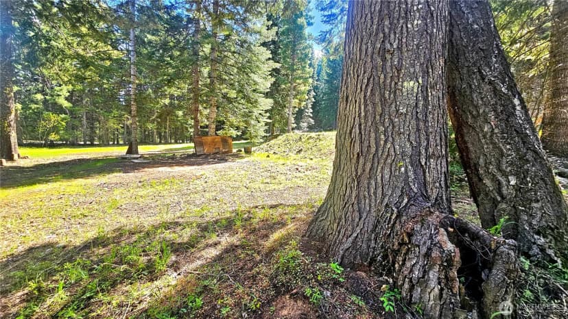 Property photo for 921 Jenkins Drive, Cle Elum photo 22