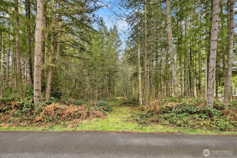 Property photo for 0 Sands Avenue Ne, Bainbridge Island photo 6