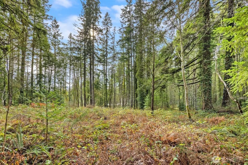Property photo for 0 Sands Avenue Ne, Bainbridge Island photo 12