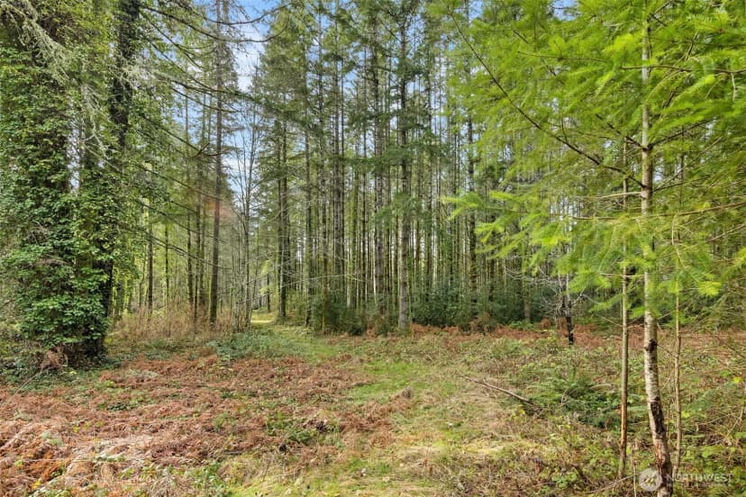 Property photo for 0 Sands Avenue Ne, Bainbridge Island photo 9
