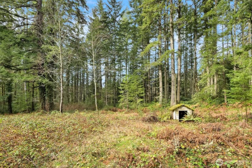 Property photo for 0 Sands Avenue Ne, Bainbridge Island photo 8
