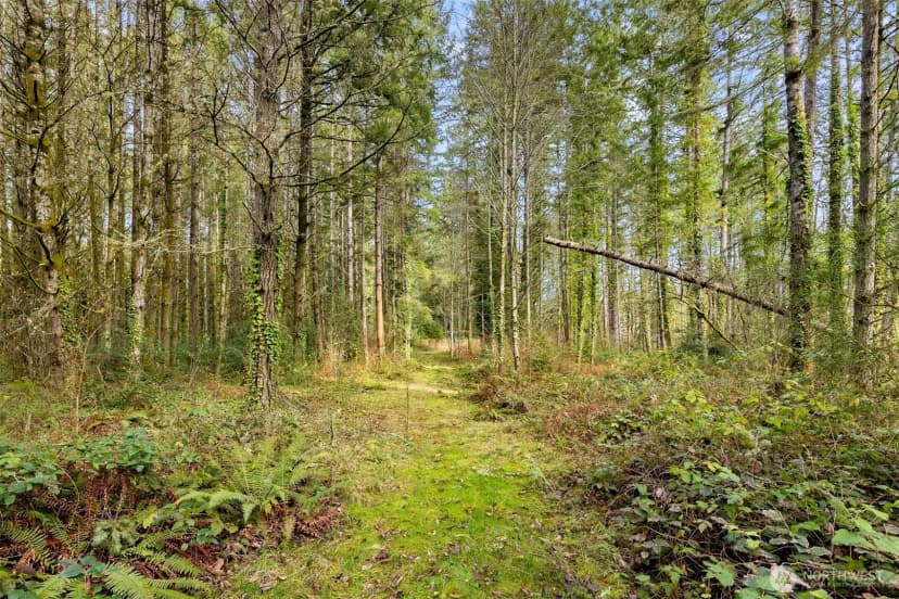 Property photo for 0 Sands Avenue Ne, Bainbridge Island photo 27