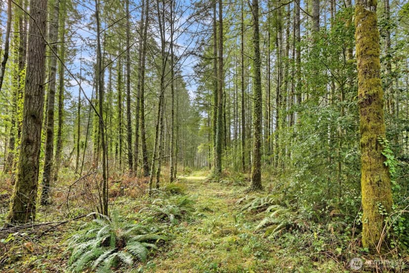 Property photo for 0 Sands Avenue Ne, Bainbridge Island photo 18