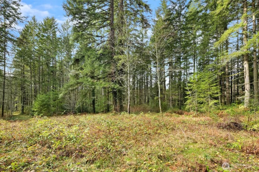 Property photo for 0 Sands Avenue Ne, Bainbridge Island photo 11