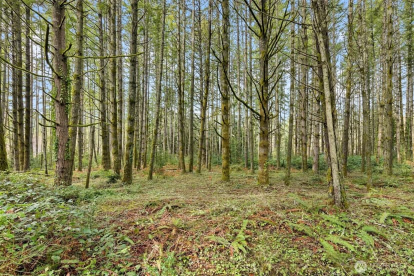 Property photo for 0 Sands Avenue Ne, Bainbridge Island photo 13