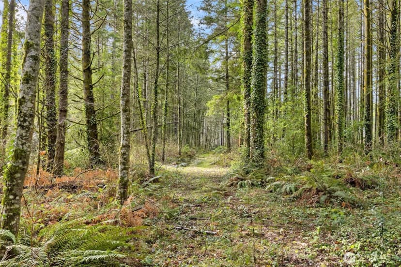 Property photo for 0 Sands Avenue Ne, Bainbridge Island photo 19