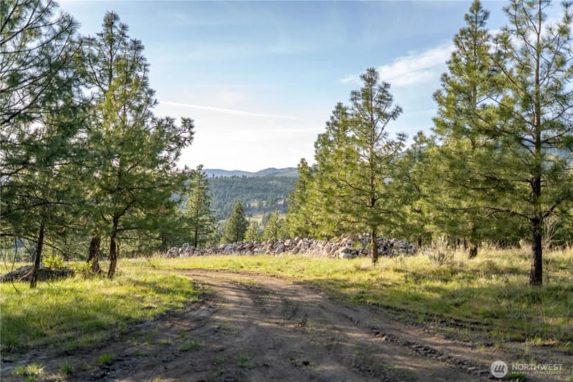Property photo for 21 Deer Ridge Road, Tonasket photo 15