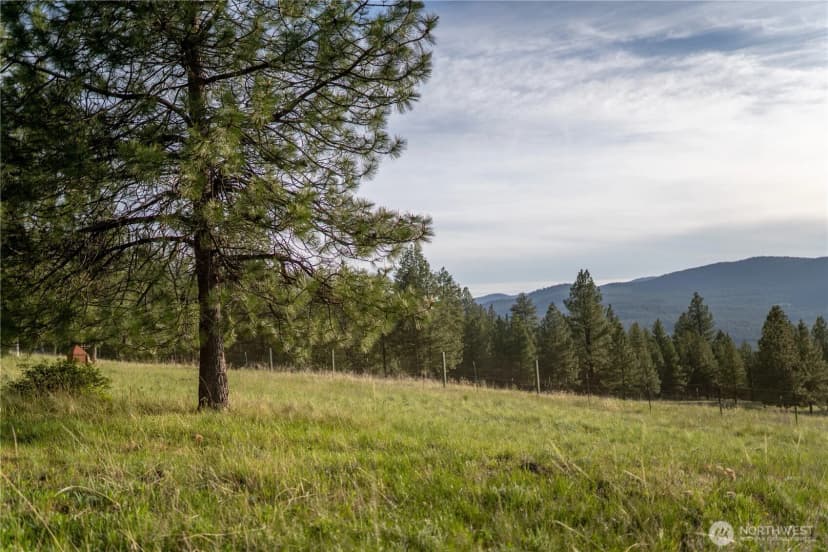 Property photo for 21 Deer Ridge Road, Tonasket photo 18