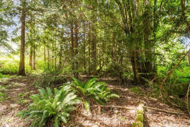 Property photo for 38742 Tinker Place Ne, Hansville photo 5