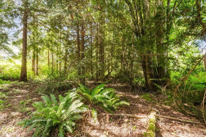 Property photo for 38742 Tinker Place Ne, Hansville photo 5