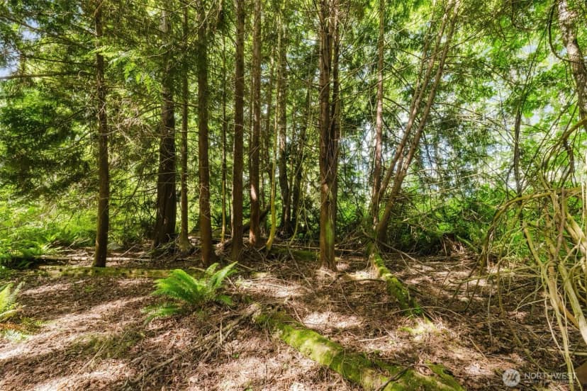 Property photo for 38742 Tinker Place Ne, Hansville photo 6