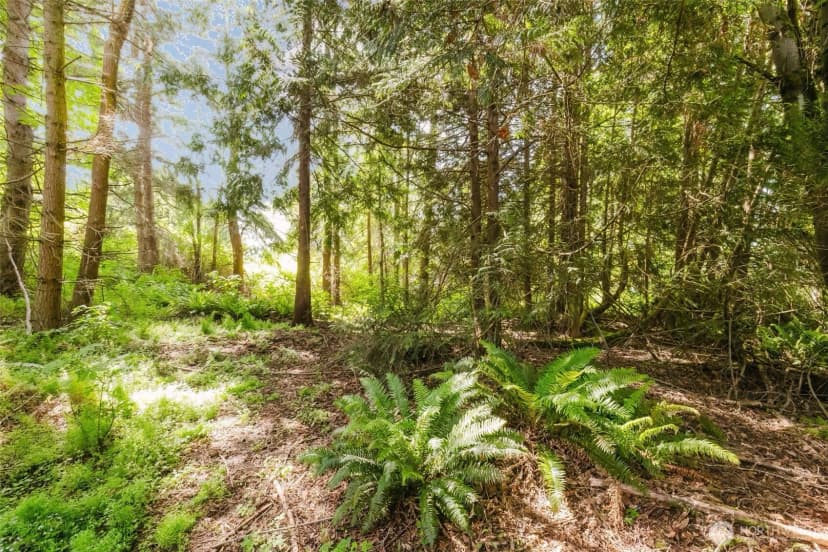 Property photo for 38743 Tinker Place Ne, Hansville photo 6