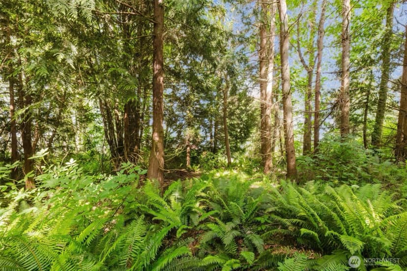 Property photo for 38743 Tinker Place Ne, Hansville photo 11
