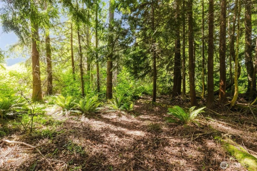 Property photo for 38743 Tinker Place Ne, Hansville photo 14