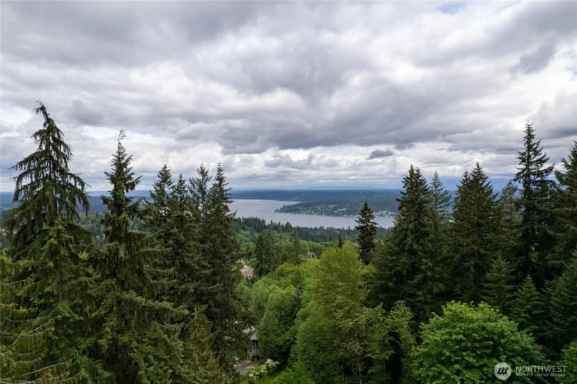 Property photo for 17426 Se 60th Street, Bellevue photo 28