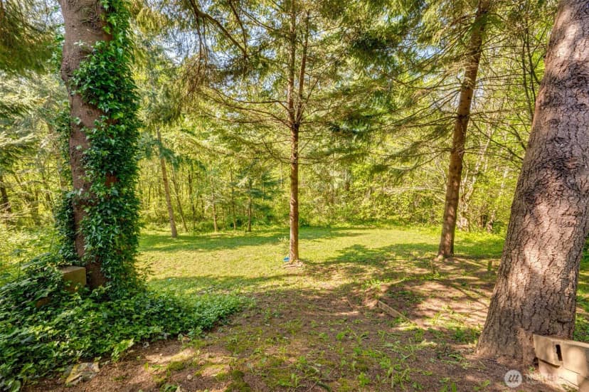 Property photo for 229 Prospect Road, Woodland photo 38