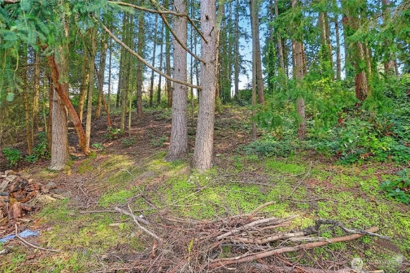 Property photo for 17810 Olympic View Drive, Edmonds photo 3