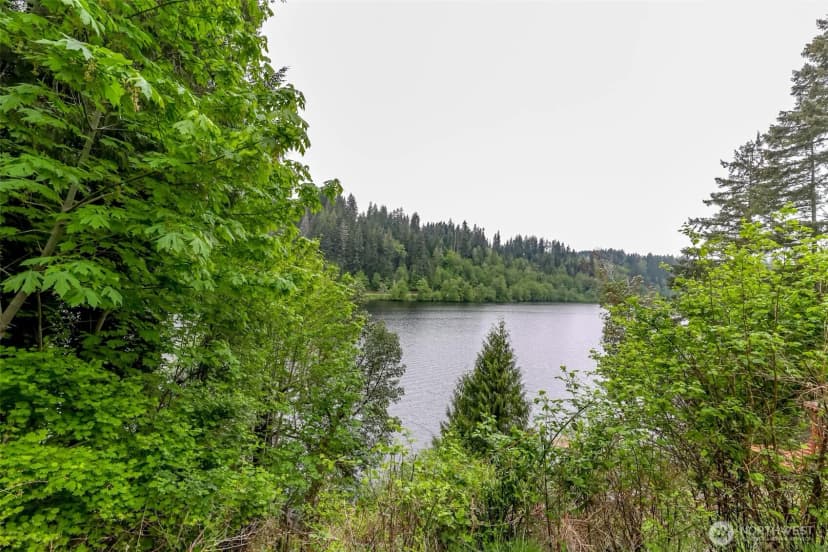 Property photo for 40420 Ski Park Rd E, Eatonville photo 35
