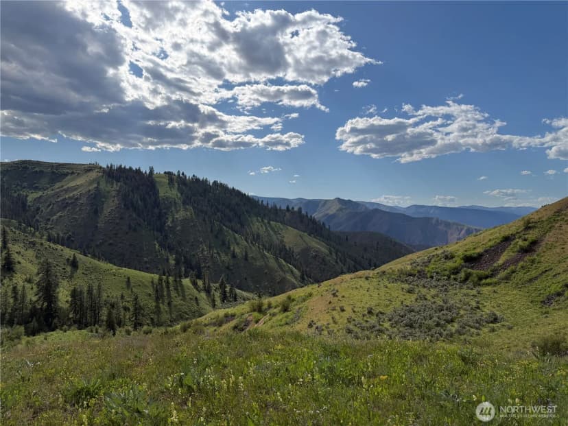 Property photo for 0 Tyee View Loop, Waterville photo 6