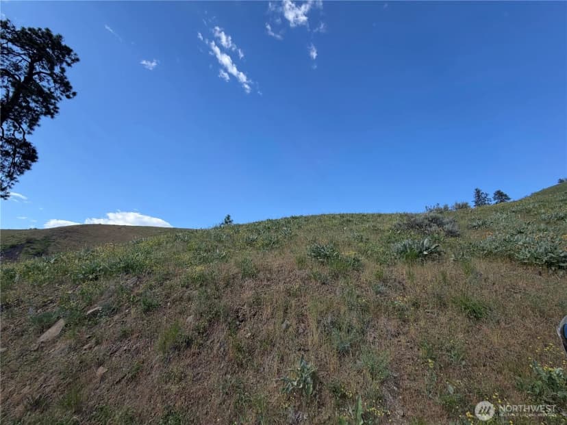 Property photo for 0 Tyee View Loop, Waterville photo 17